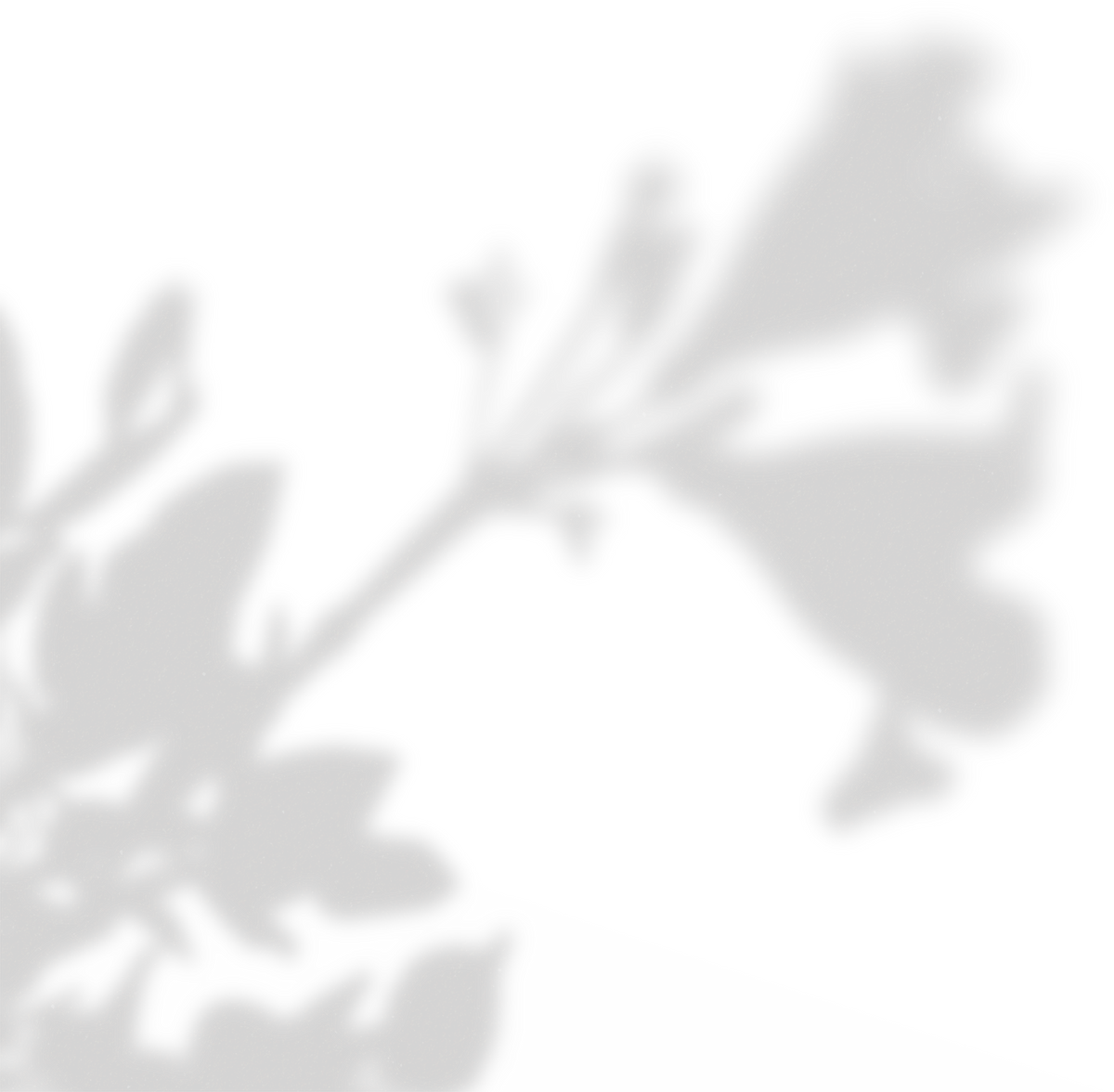 Simple Floral Shadow Curvy