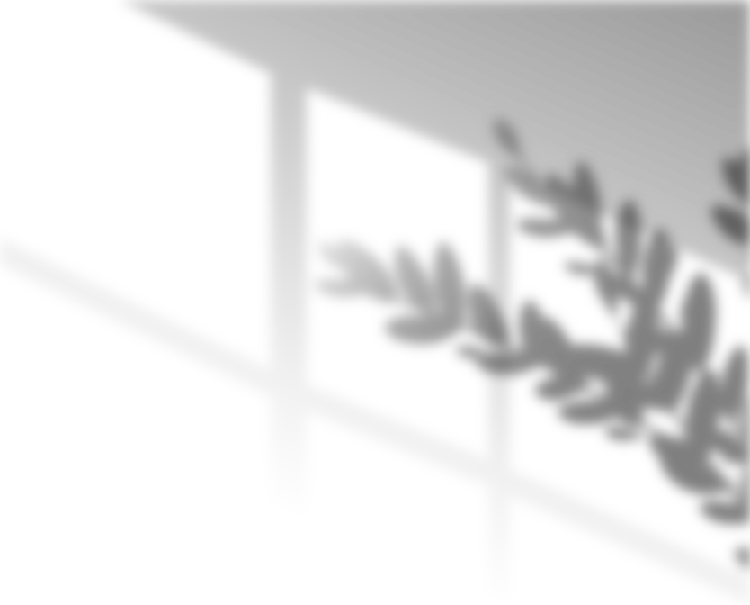 Overlay Shadow